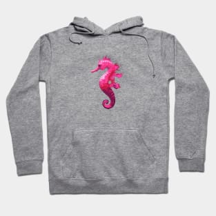 Cute Pink Sea Horse Hoodie